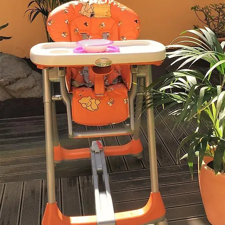 Strelitzia Gran Canaria *