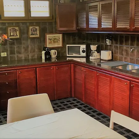 Strelitzia Gran Canaria