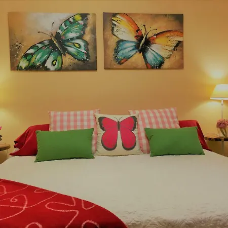 Strelitzia Gran Canaria 因赫尼奥