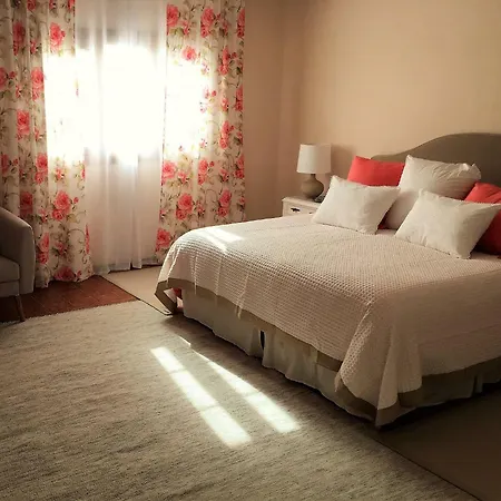 Strelitzia Gran Canaria *