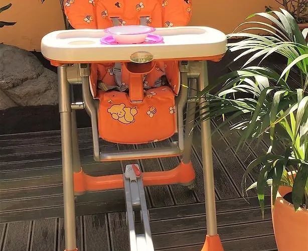 Strelitzia Gran Canaria *