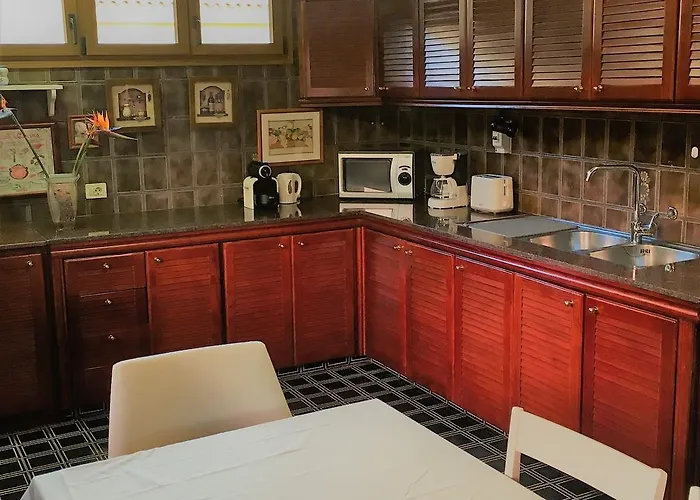 Strelitzia Gran Canaria